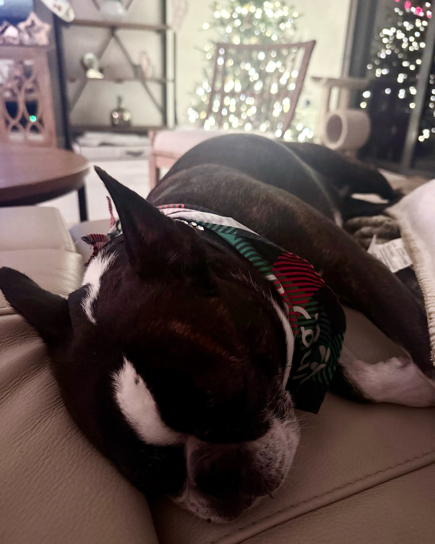 Workforce and job preparation